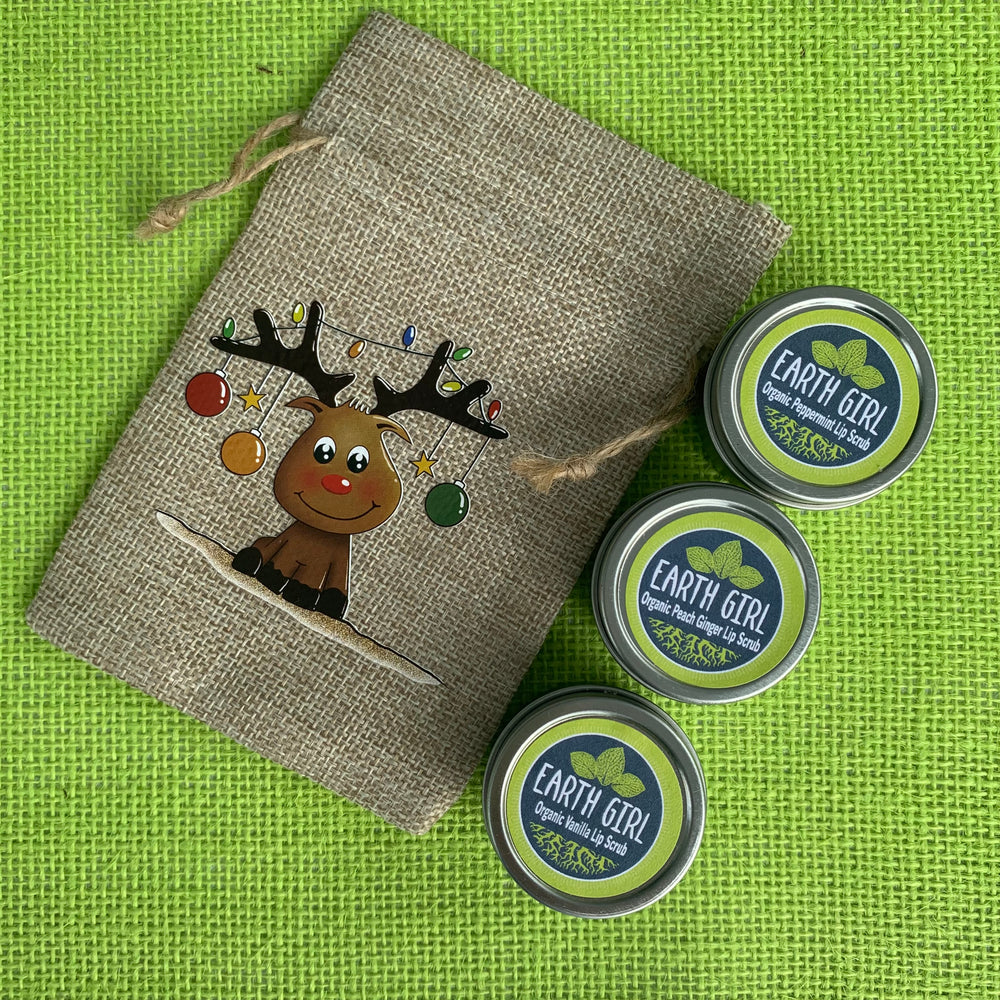 Holiday Lip Scrub Bundle